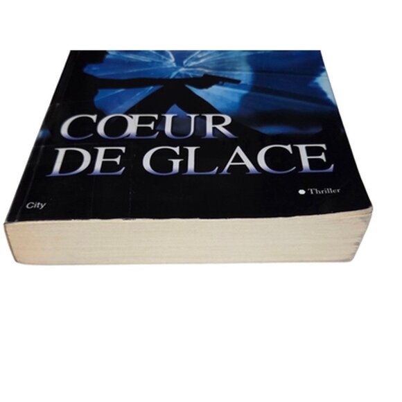 Richard Castle Coeur de Glace French Thriller Softcover Paris Mystery Book - Picture 13 of 15
